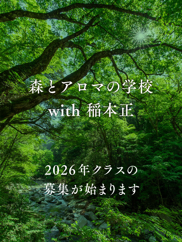 森とアロマの学校with稲本正:ヘッダー写真(森の中・日光・川が流れている写真)